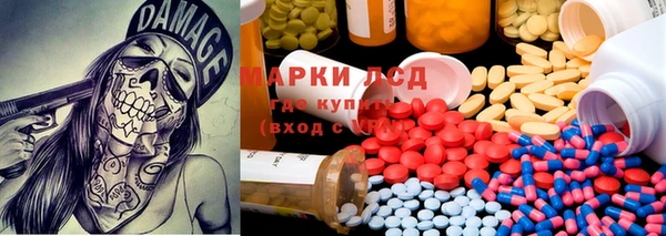 прущие крисы Алексеевка
