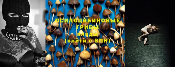 бутират Алексин