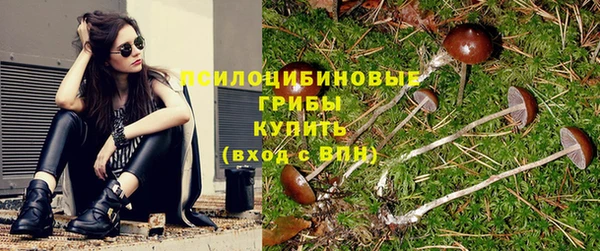 прущие крисы Алексеевка