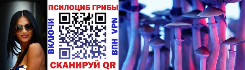 Галлюциногенные грибы Psilocybine cubensis  что такое   даркнет как зайти  Павловская  MEGA ССЫЛКА 